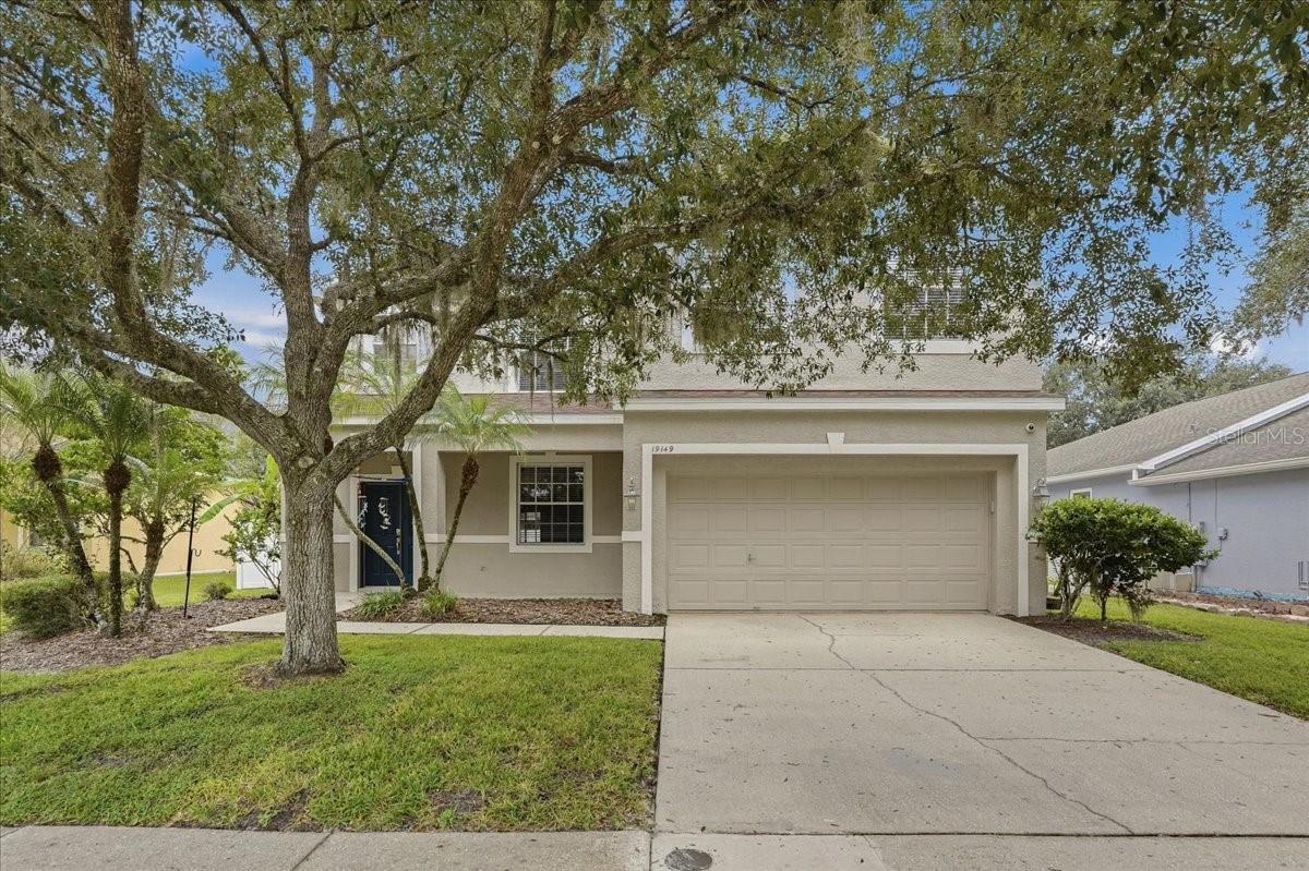 19149 Dove Creek Dr, Tampa, FL 33647