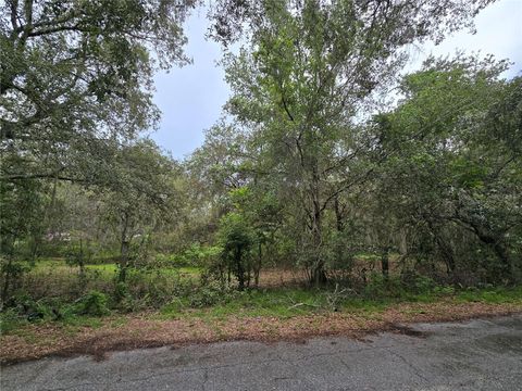  in ASTATULA FL 13311 MIDWAY AVENUE.jpg