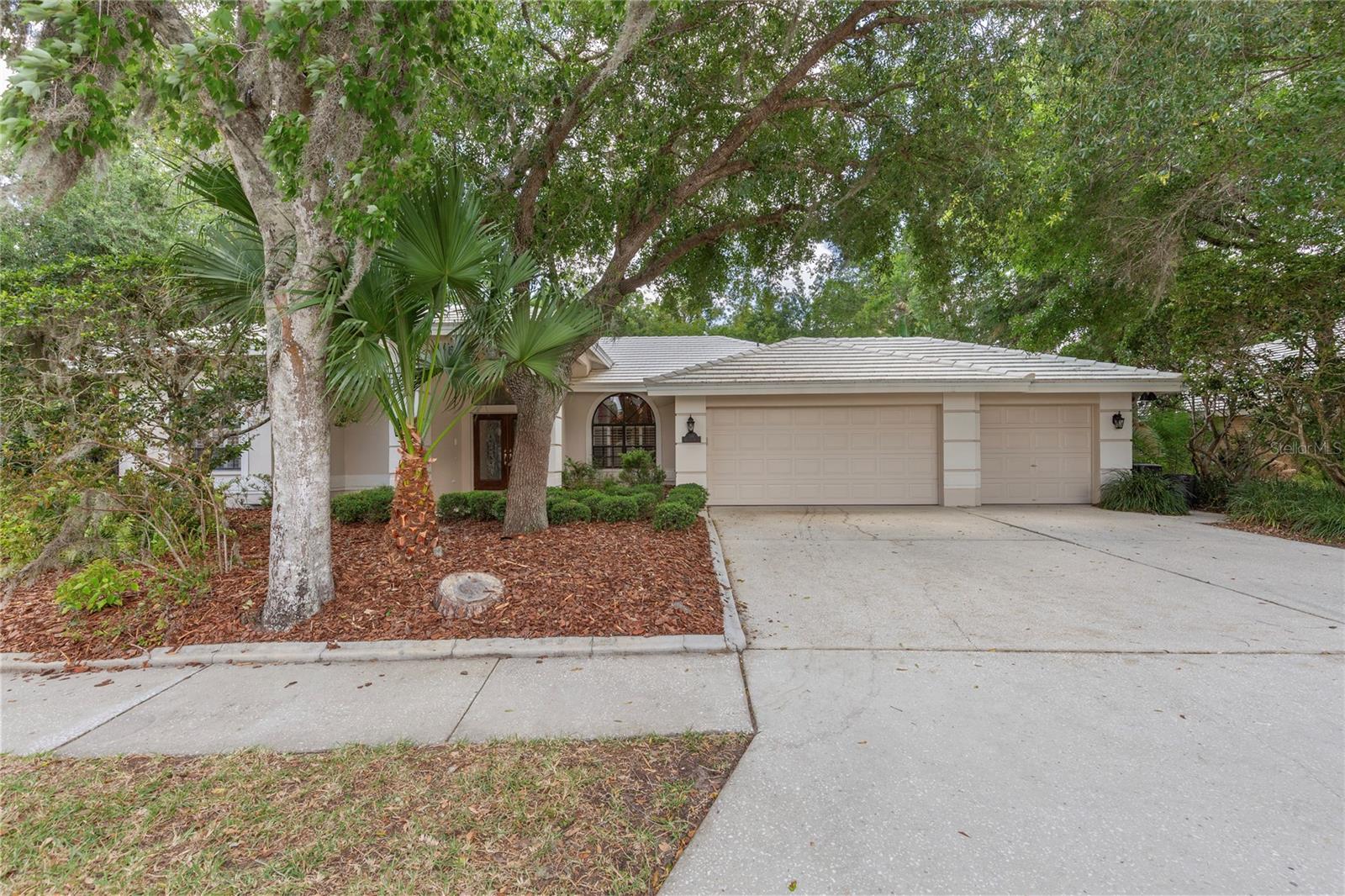 50 Kelleys Trl, Oldsmar, FL 34677 photo