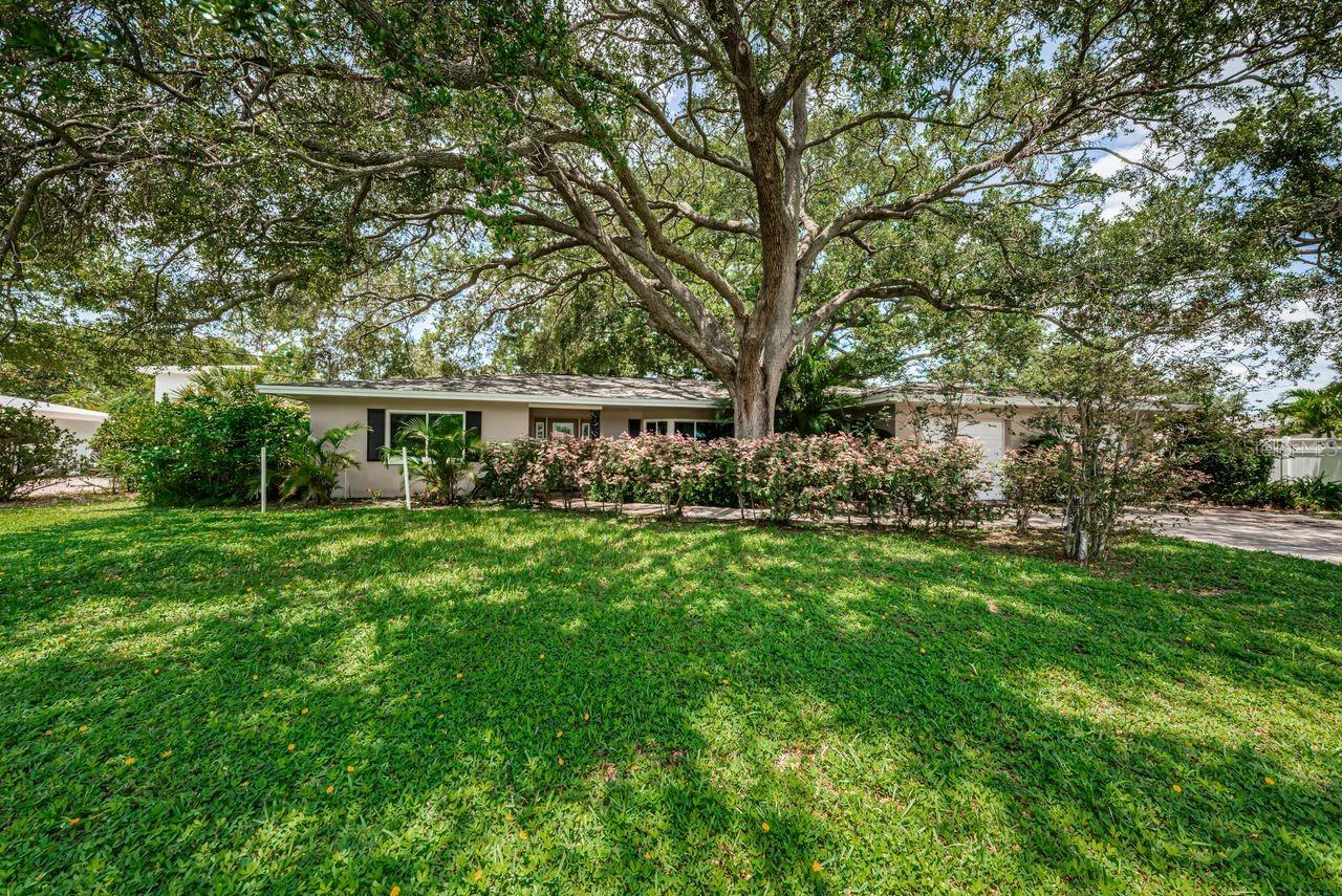 1704 Cypress Ave, Belleair, FL 33756 photo