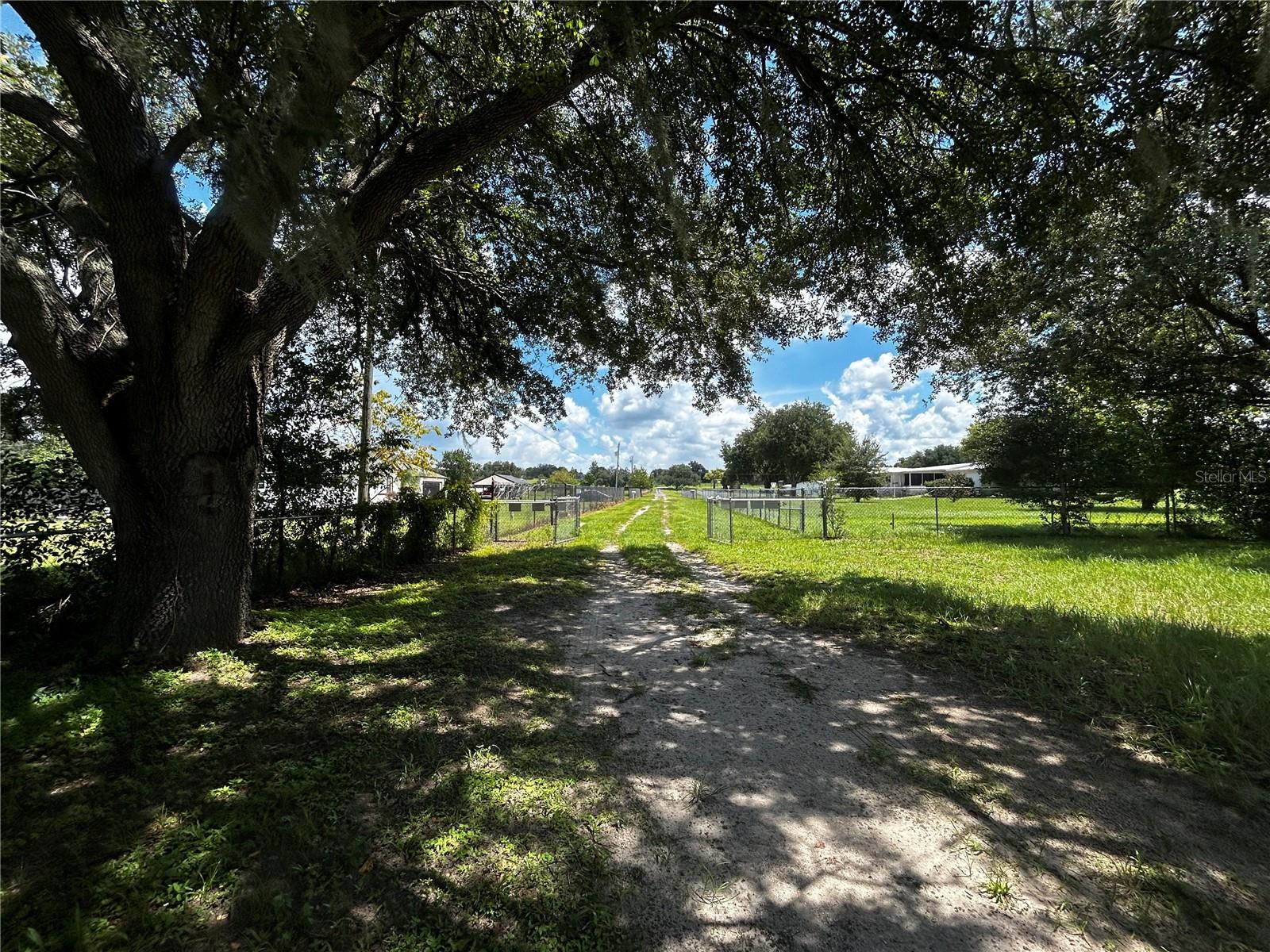 8535 23 St, Zephyrhills, FL 33540 photo