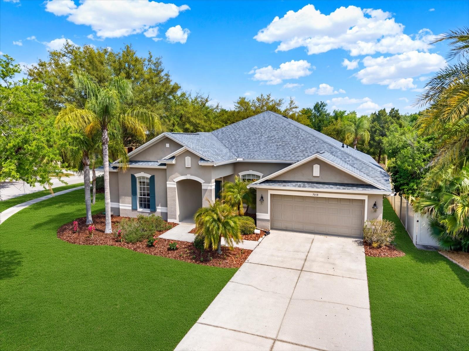 7018 Cardinalwood Ln, Land O Lakes, FL 34637 photo