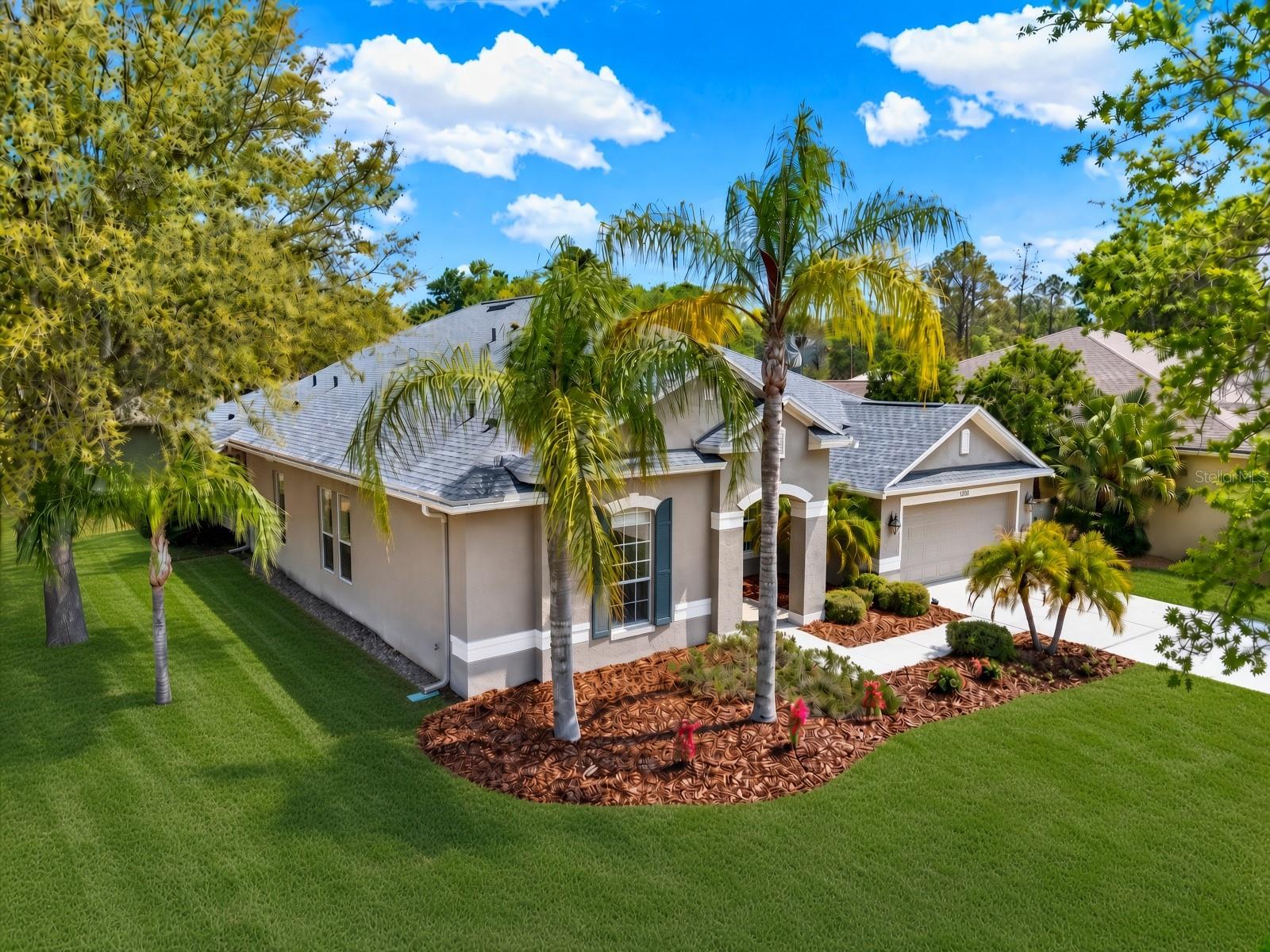 7018 Cardinalwood Ln, Land O Lakes, FL 34637 photo