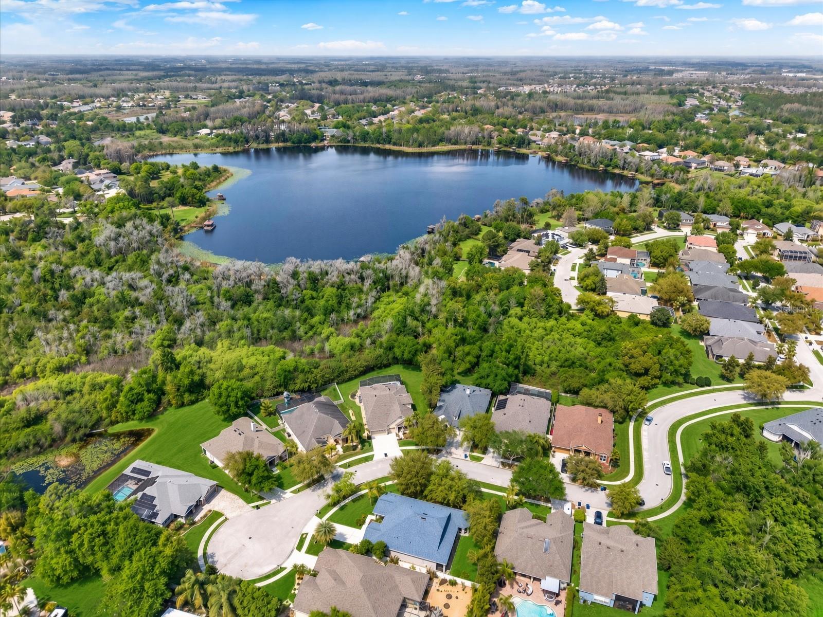 7018 Cardinalwood Ln, Land O Lakes, FL 34637 photo