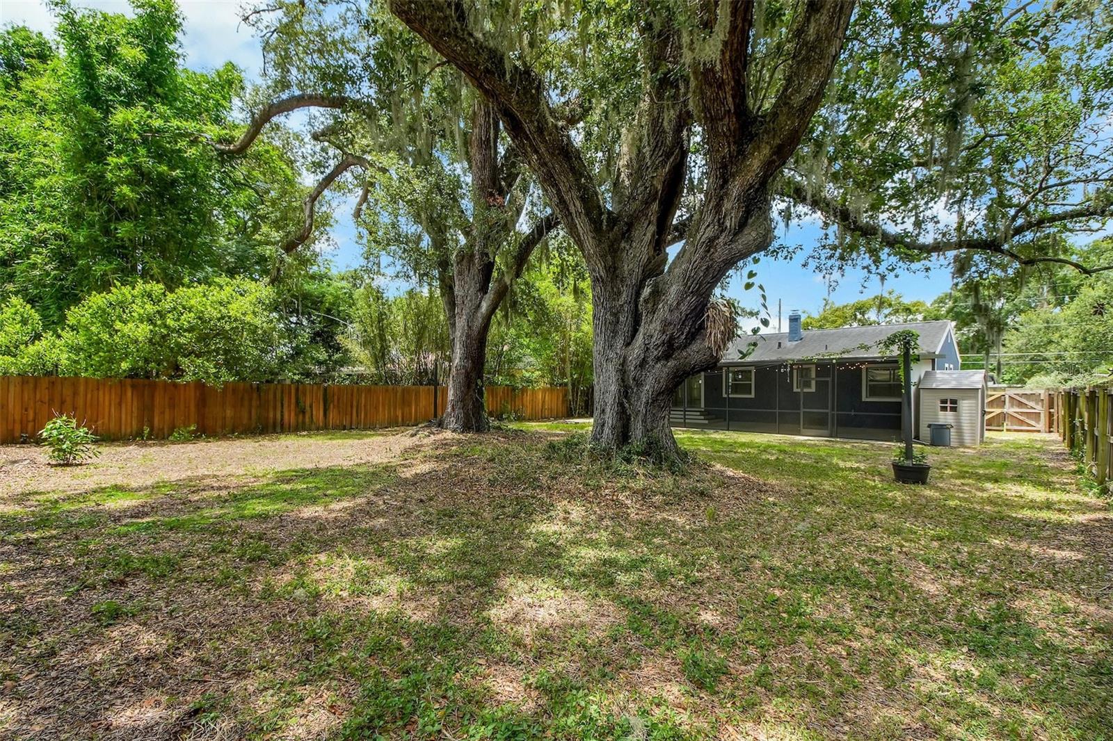 301 S Hampton Ave, Orlando, FL 32803 photo