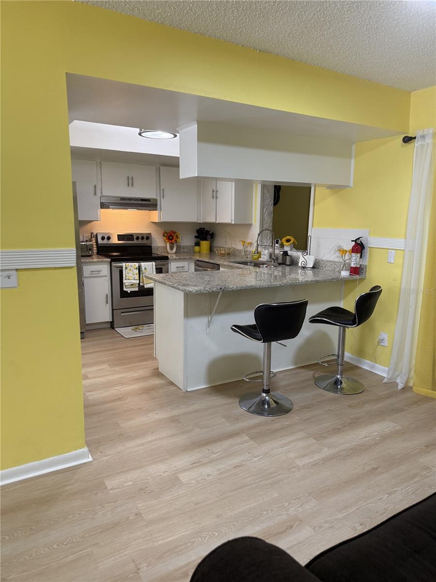 322 Regal Park Dr, Valrico, FL 33594 photo