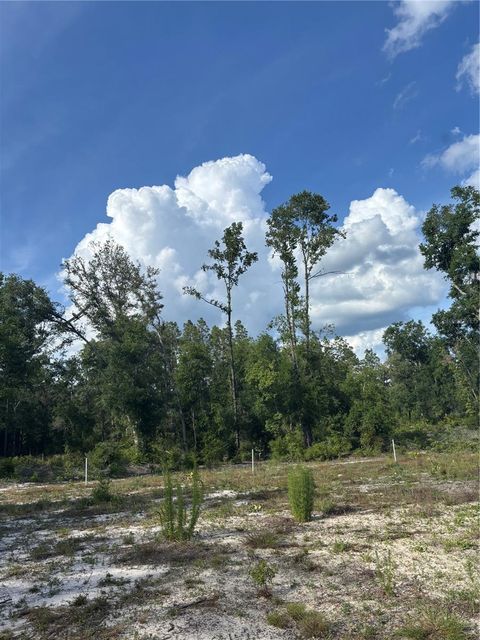  in BELL FL NW 30TH STREET 1.jpg