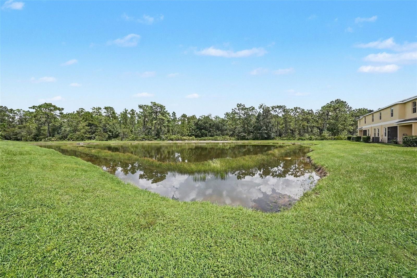 8604 Fiddleleaf Ct, Tampa, FL 33647 photo