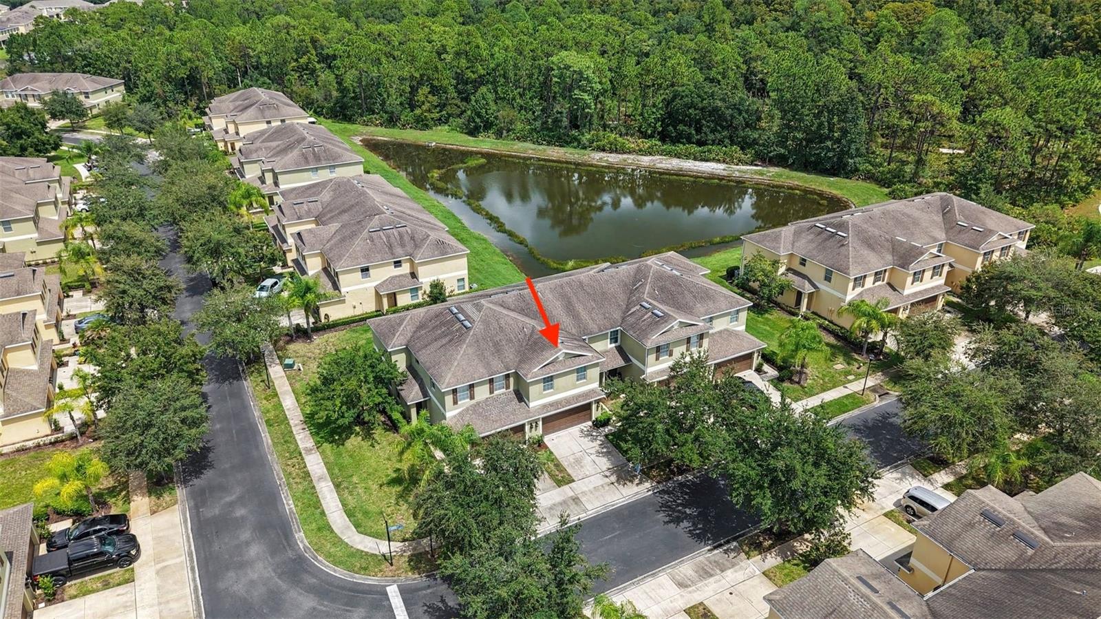 8604 Fiddleleaf Ct, Tampa, FL 33647 photo