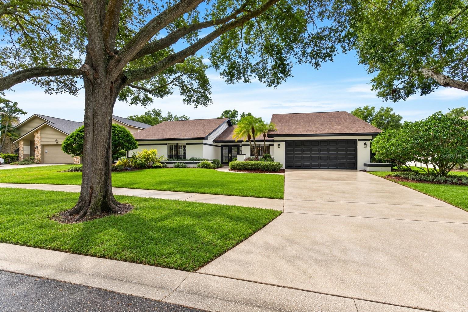 14015 Shady Shores Dr, Tampa, FL 33613 photo