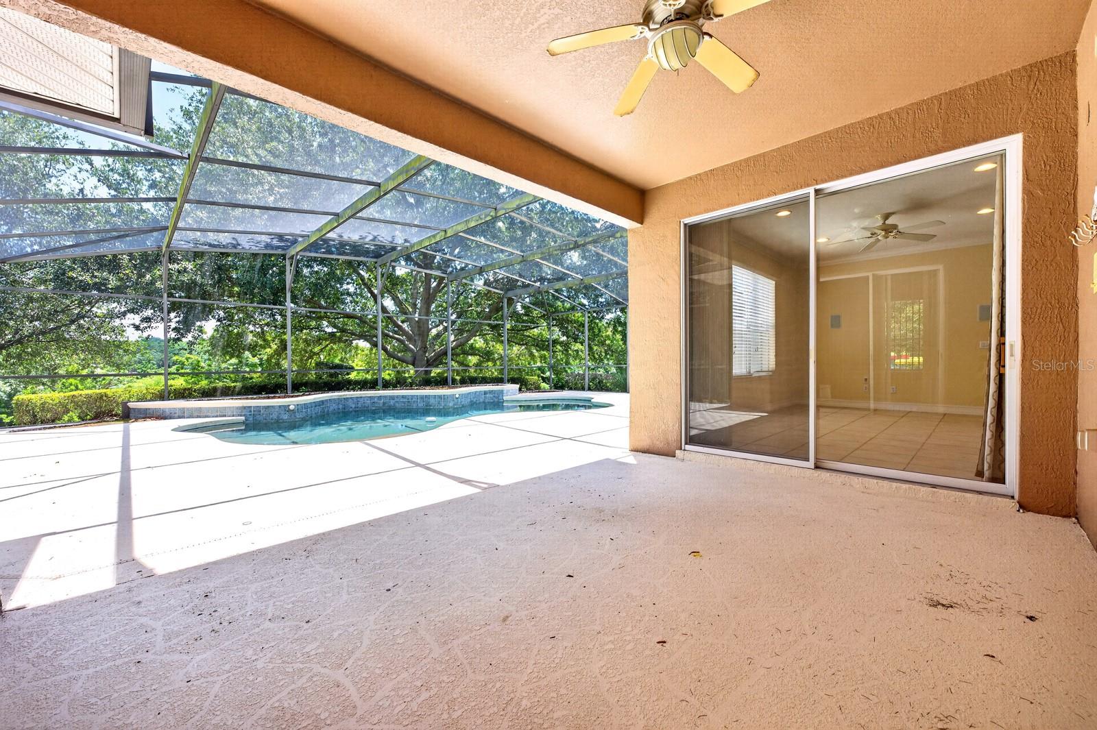 825 Parkside Pointe Blvd, Apopka, FL 32712 photo