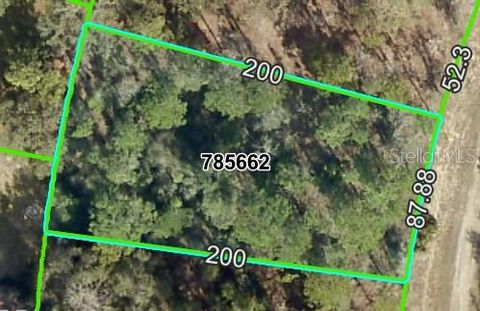  in BROOKSVILLE FL 13439 CORMORANT ROAD.jpg