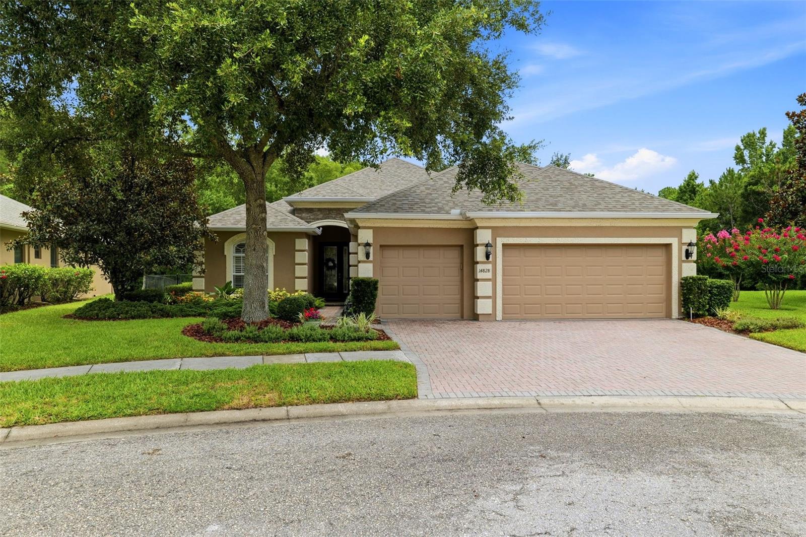 14828 Man 0 War Dr, Odessa, FL 33556 photo