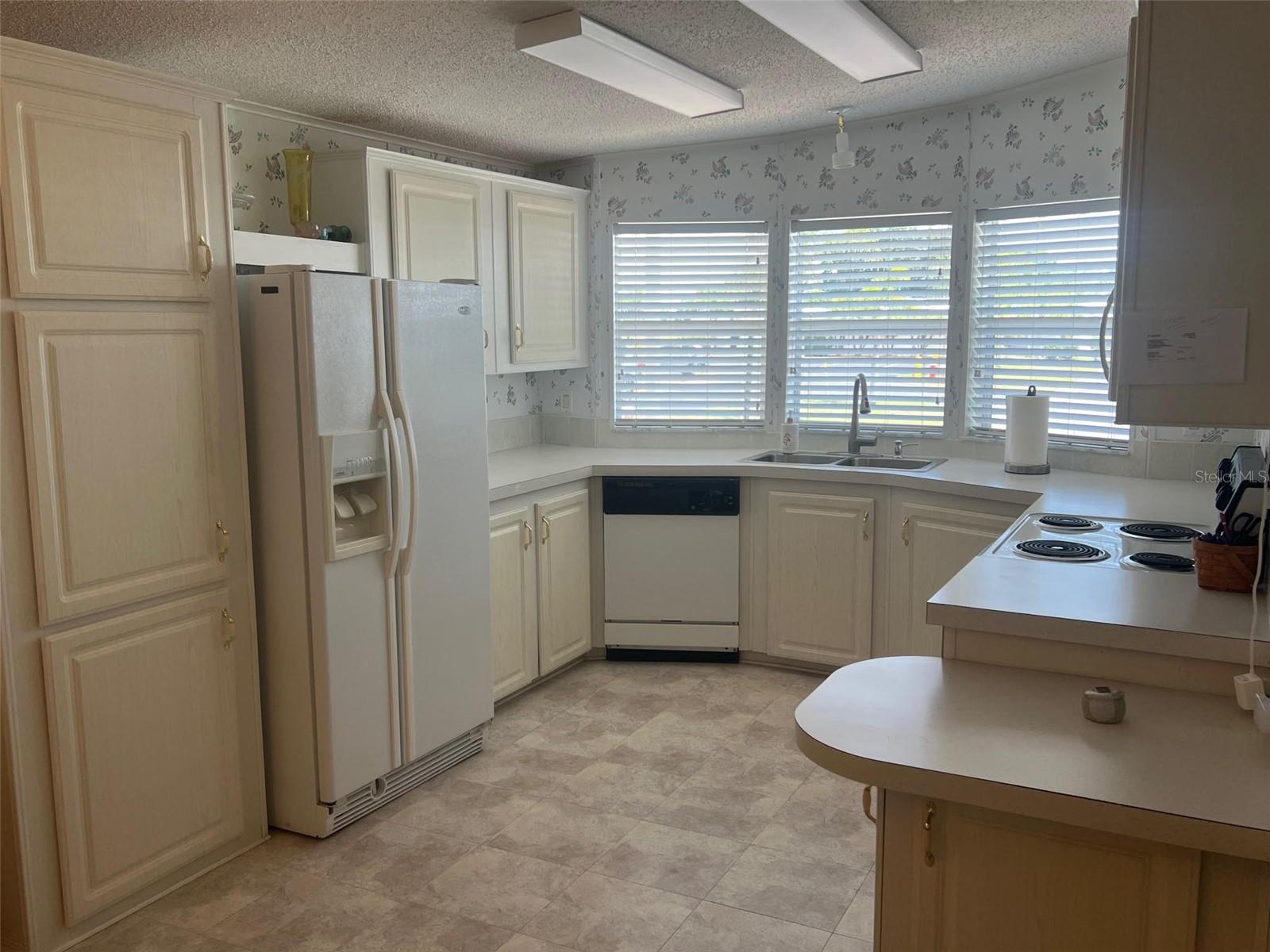 12 Thatch Palm St, Largo, FL 33770 photo