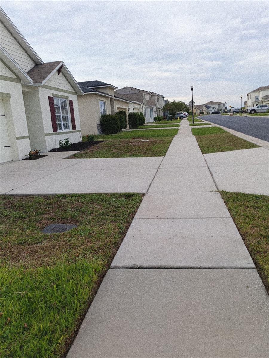 3101 Royal Tern Dr, Winter Haven, FL 33881 photo