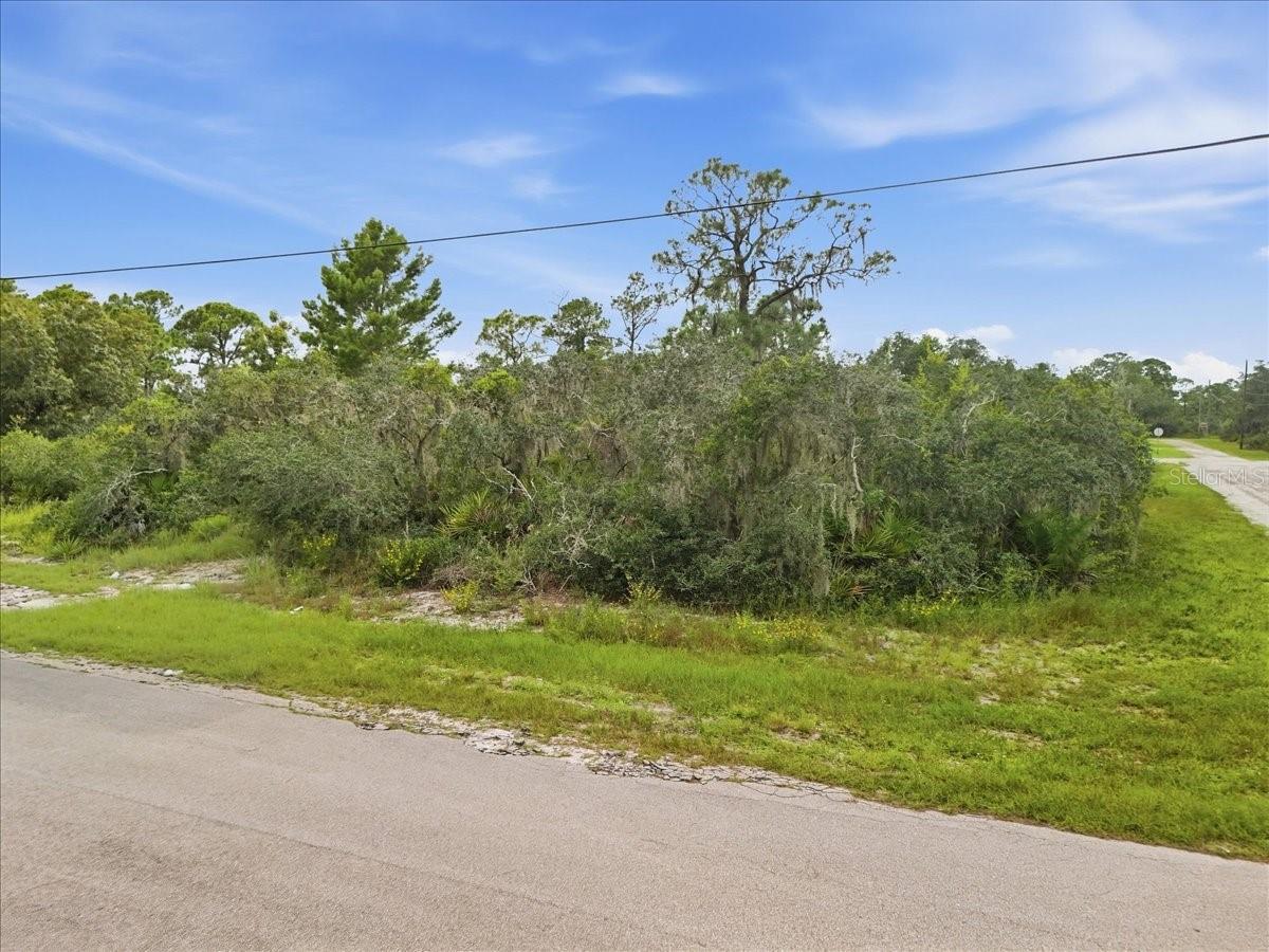 213 Marlin St, Lake Placid, FL 33852 photo