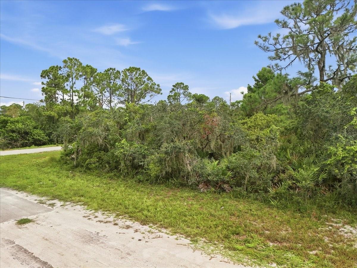 213 Marlin St, Lake Placid, FL 33852
