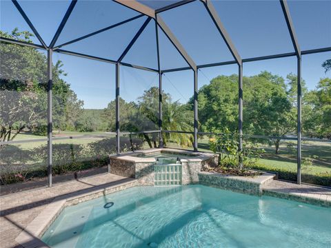 Single Family Residence in DADE CITY FL 13551 CARNOUSTIE CIRCLE 65.jpg