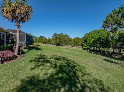 Single Family Residence in DADE CITY FL 13551 CARNOUSTIE CIRCLE 80.jpg