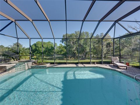 Single Family Residence in DADE CITY FL 13551 CARNOUSTIE CIRCLE 64.jpg