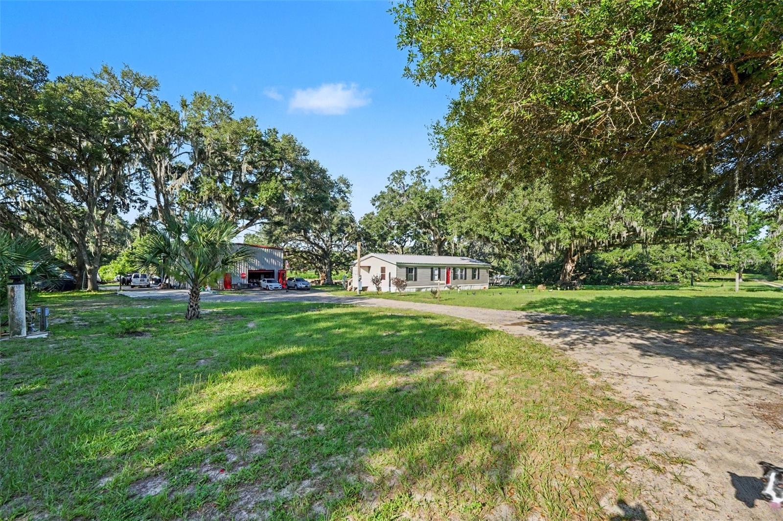 12709 Chihuahua Ct, Thonotosassa, FL 33592 photo