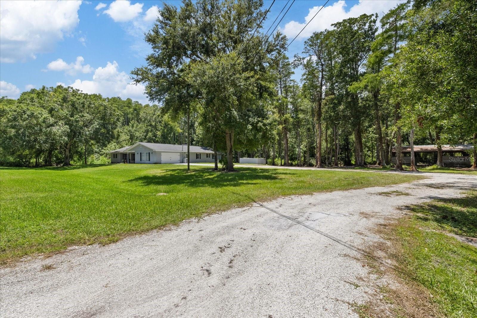 346 Ranch Road, Tarpon Springs, FL 34688 photo