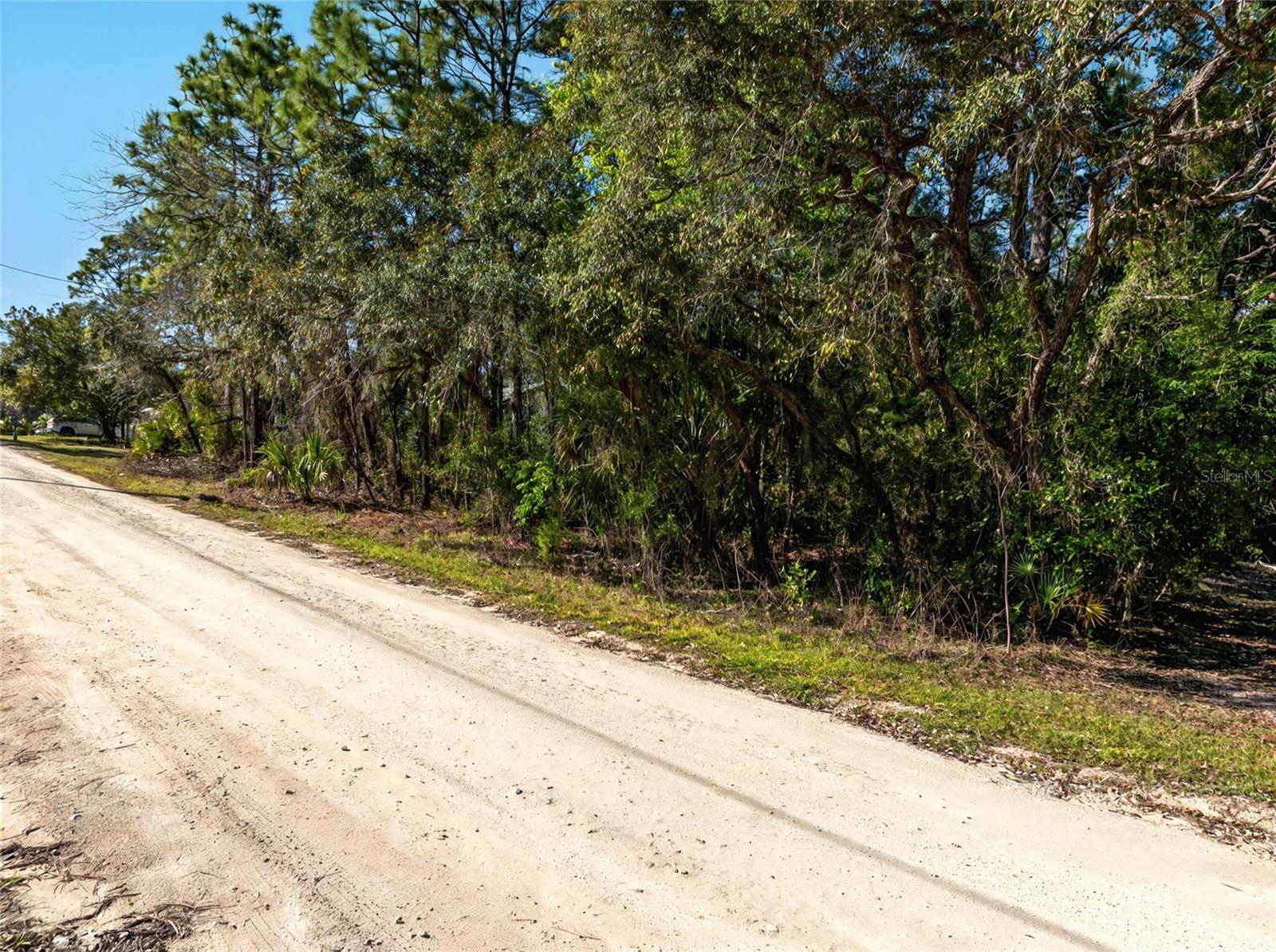 9003 Glenarm Way, Weeki Wachee, FL 34613 photo