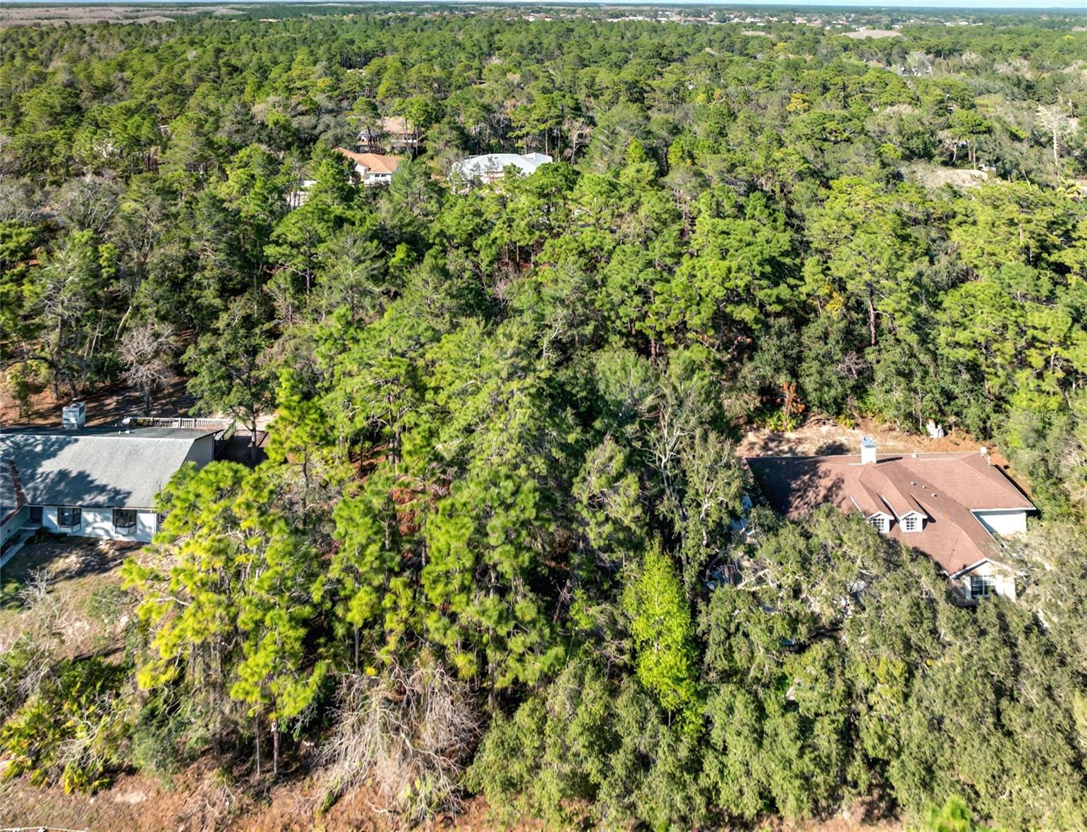 9003 Glenarm Way, Weeki Wachee, FL 34613 photo