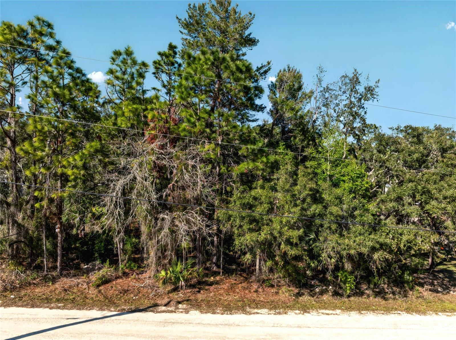 9003 Glenarm Way, Weeki Wachee, FL 34613 photo
