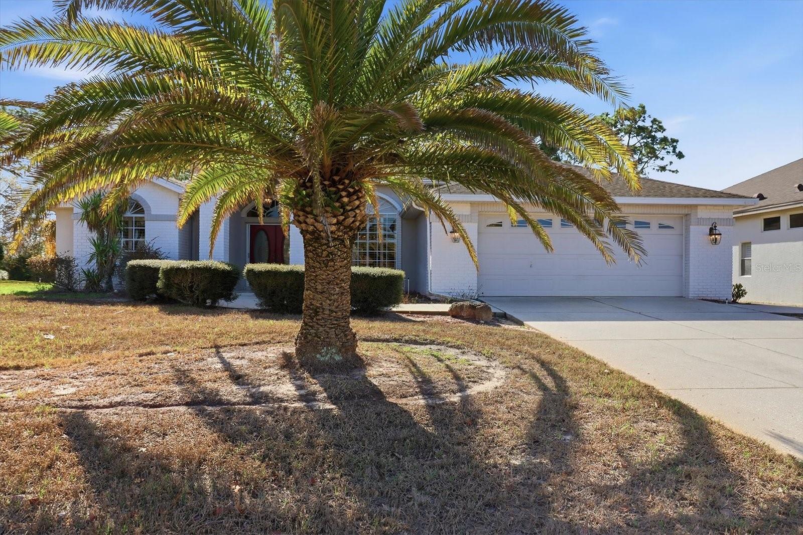 9240 Butler Blvd, Weeki Wachee, FL 34613 photo