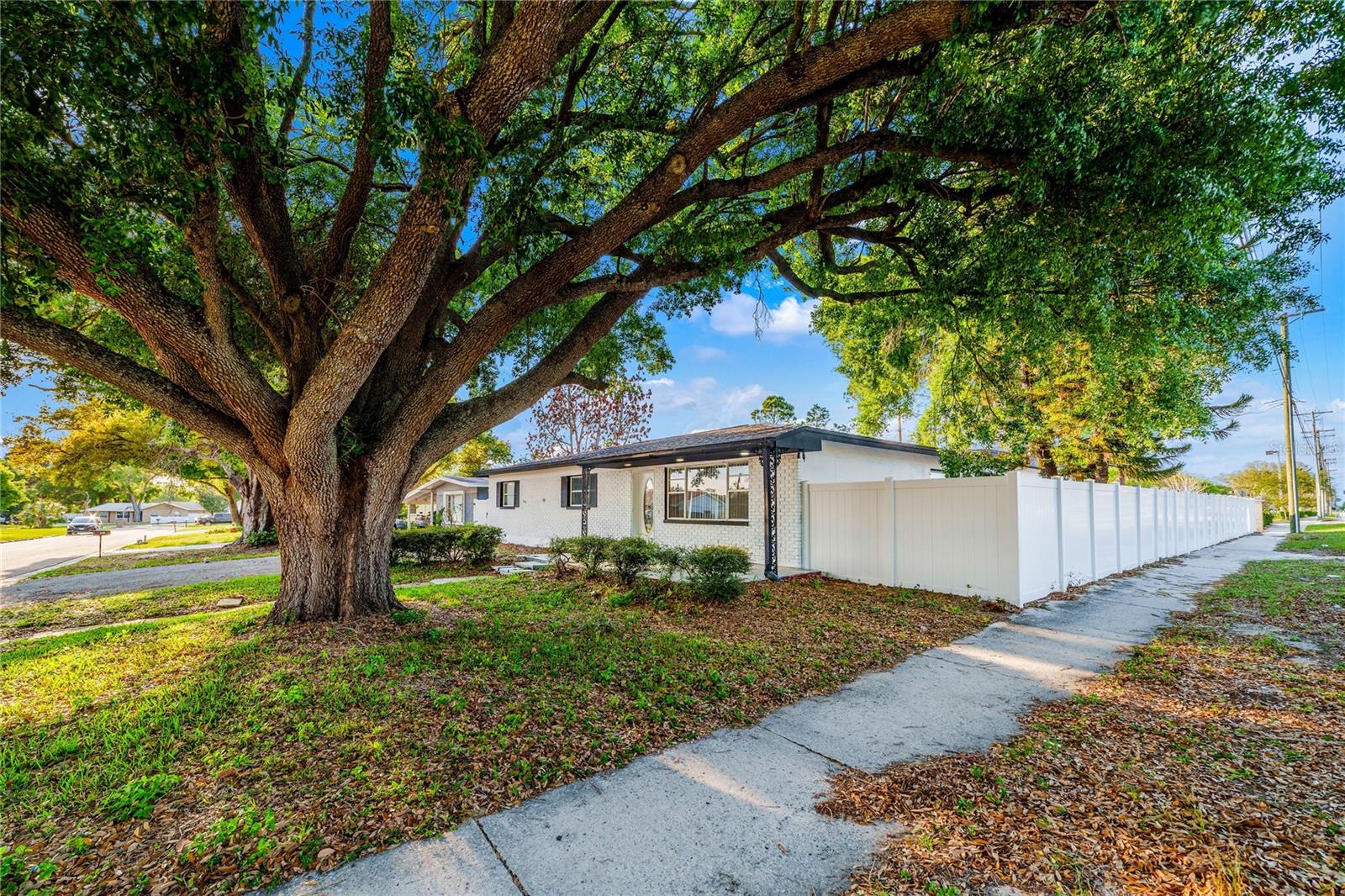 545 N Terrace Dr, Brandon, FL 33510 photo