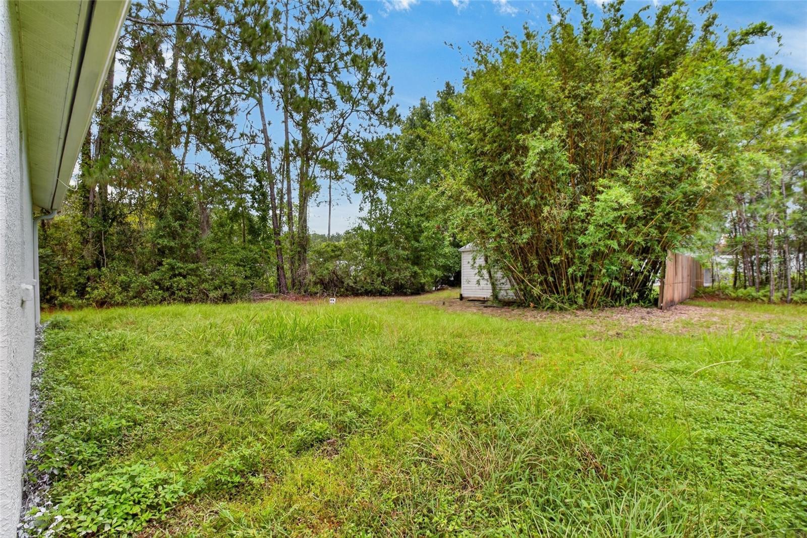 27526 Green Willow Run, Wesley Chapel, FL 33544 photo