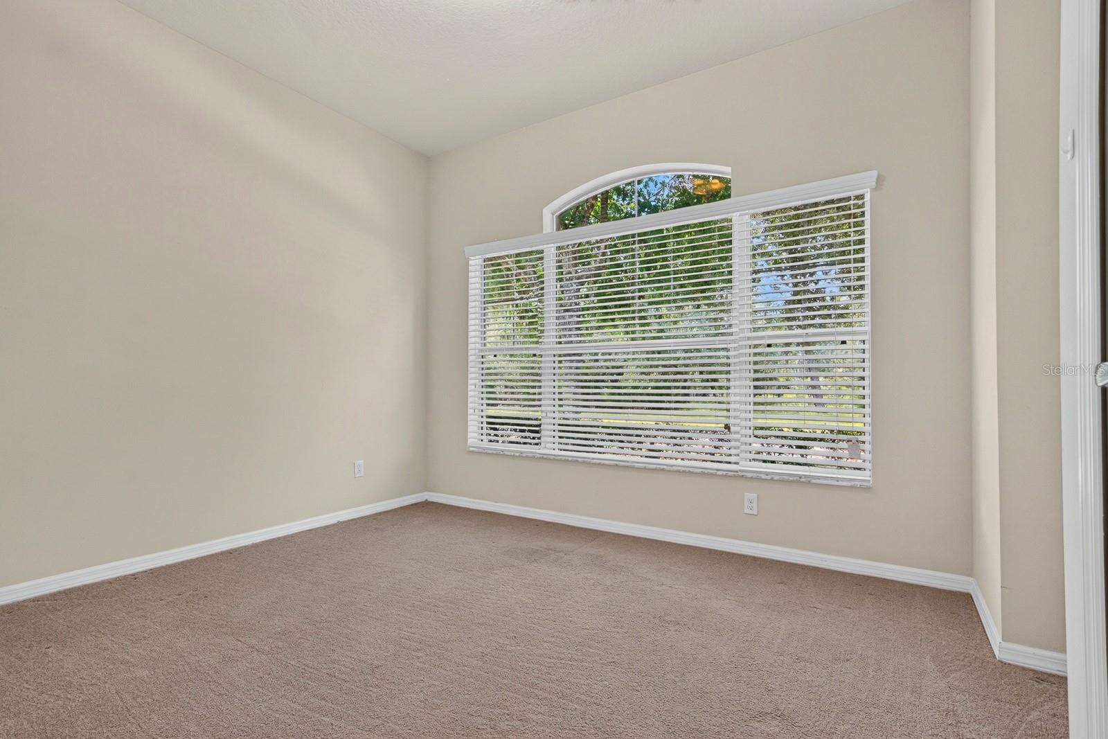 11231 Belle Haven Dr, New Port Richey, FL 34654 photo
