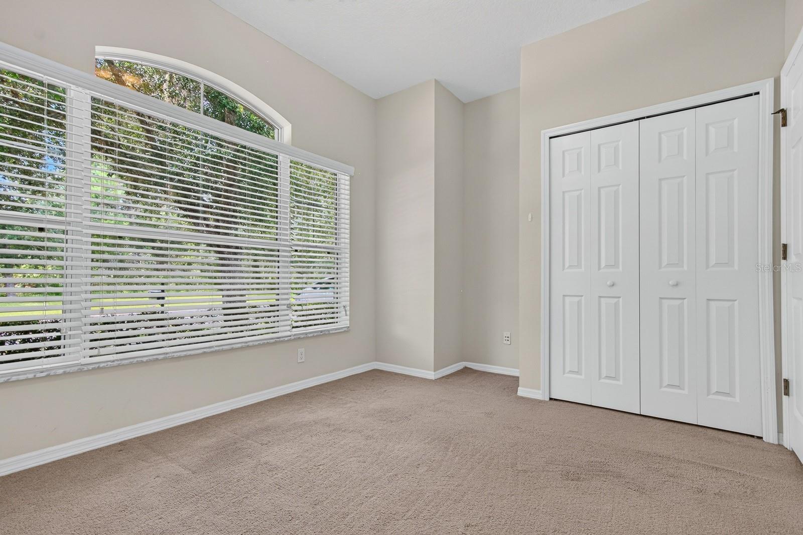 11231 Belle Haven Dr, New Port Richey, FL 34654 photo