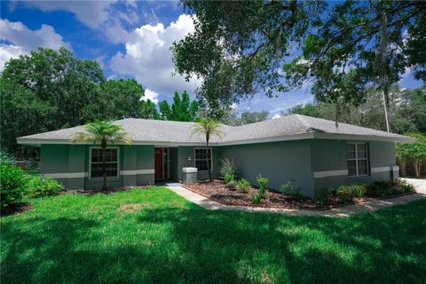 Single Family Residence in LAKELAND FL 1446 COVEY CIRCLE.jpg