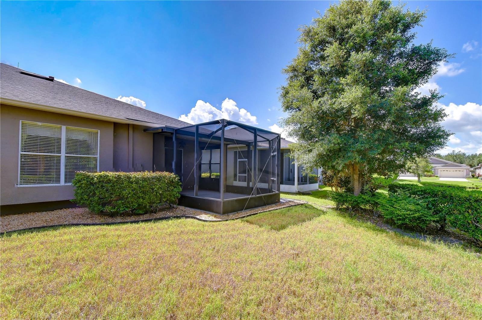 1127 Wrightswynde Ct, Wesley Chapel, FL 33543 photo