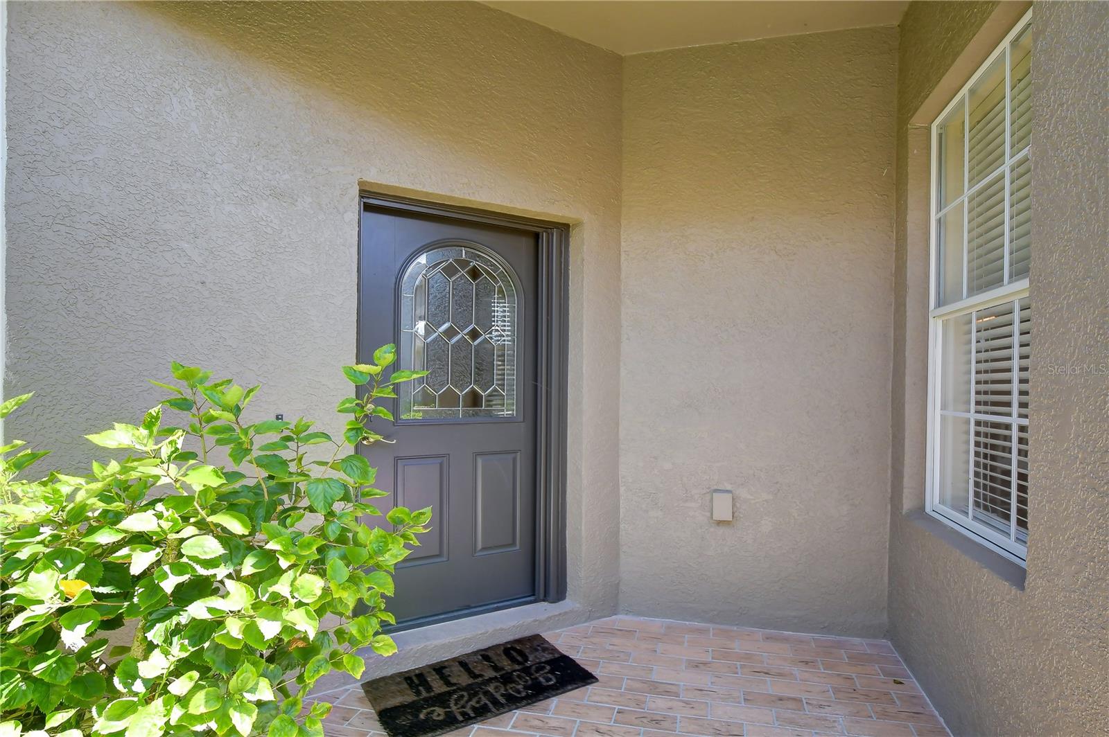 1127 Wrightswynde Ct, Wesley Chapel, FL 33543 photo