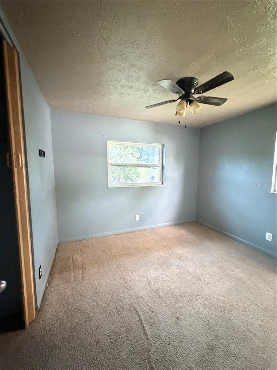 175 Capella Rd, Orange Park, FL 32073 photo