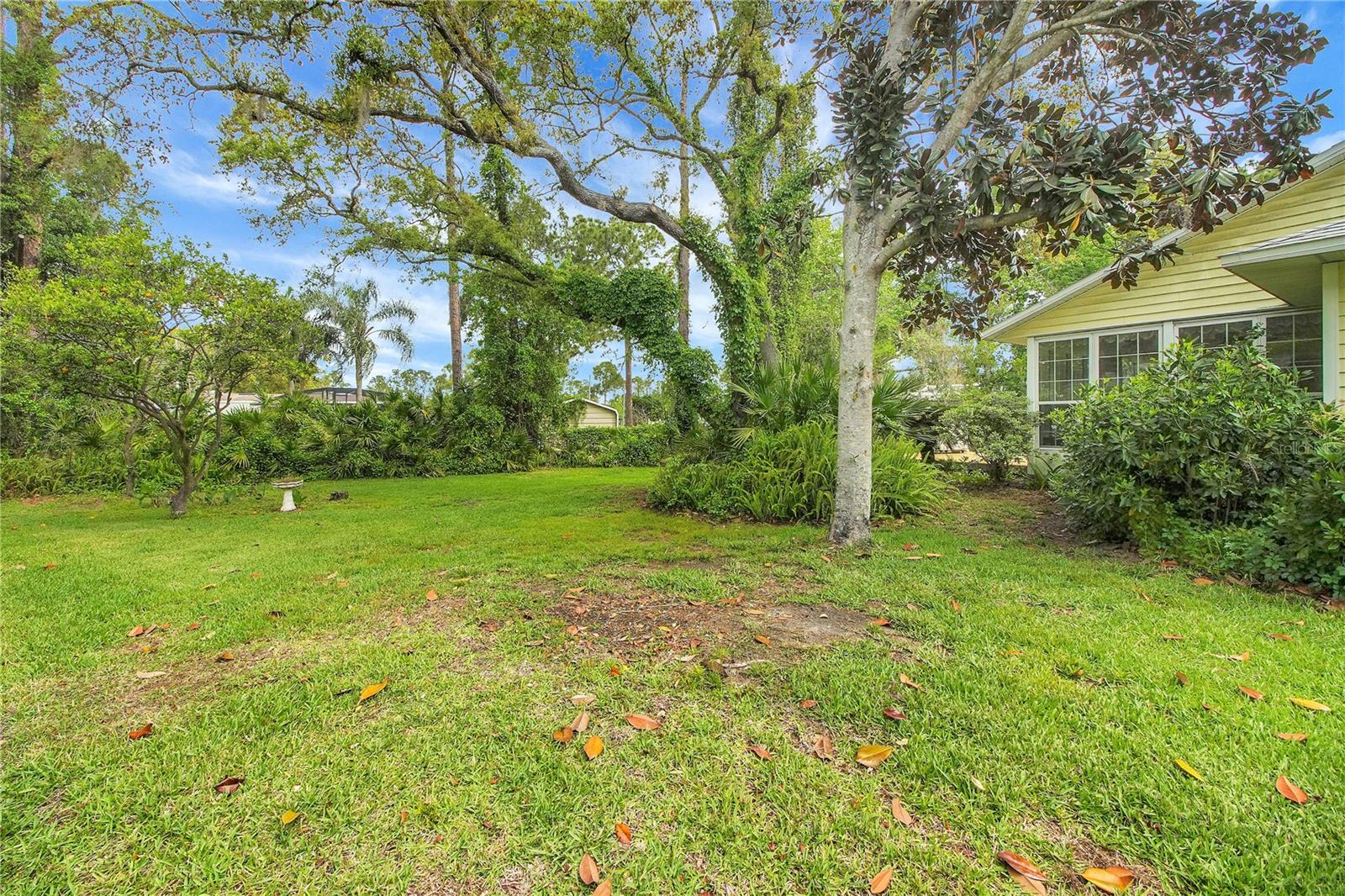 335 River Glass Ct, Leesburg, FL 34788 photo