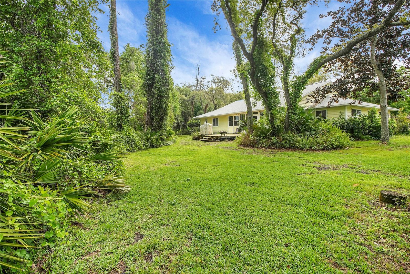 335 River Glass Ct, Leesburg, FL 34788 photo