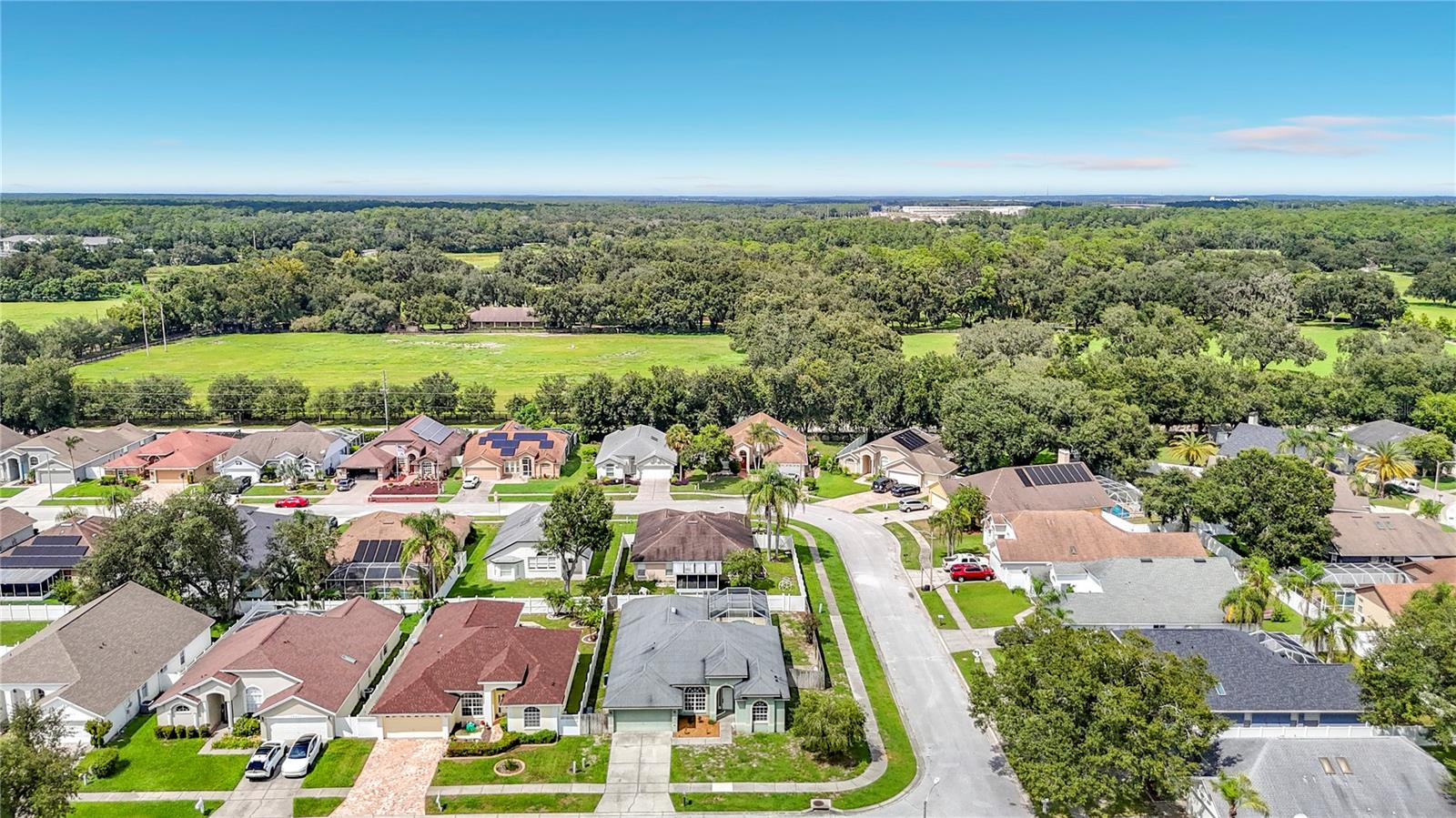 28829 Windover St, Wesley Chapel, FL 33545 photo