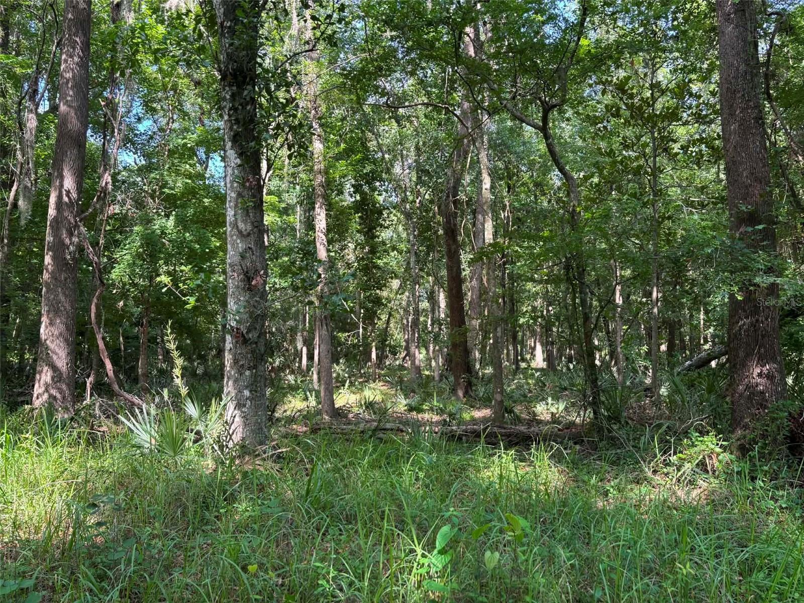 12168 Ponce De Leon Blvd, Brooksville, FL 34601 photo