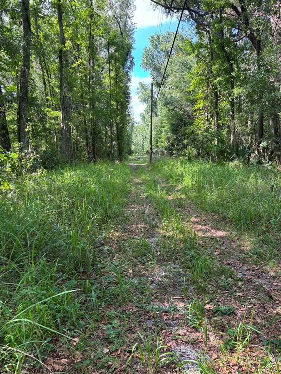 12168 Ponce De Leon Blvd, Brooksville, FL 34601 photo