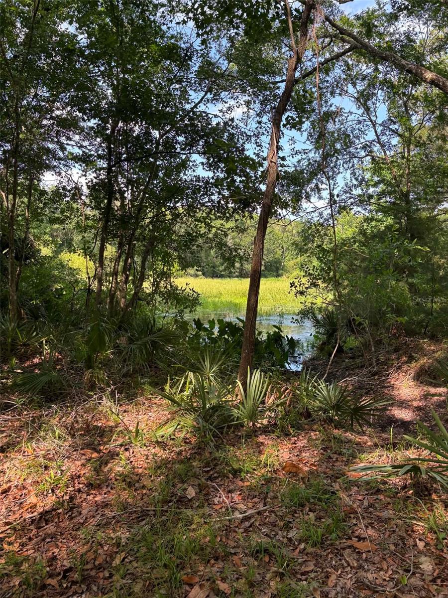 12168 Ponce De Leon Blvd, Brooksville, FL 34601 photo