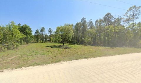  in WILLISTON FL NE 10TH STREET.jpg