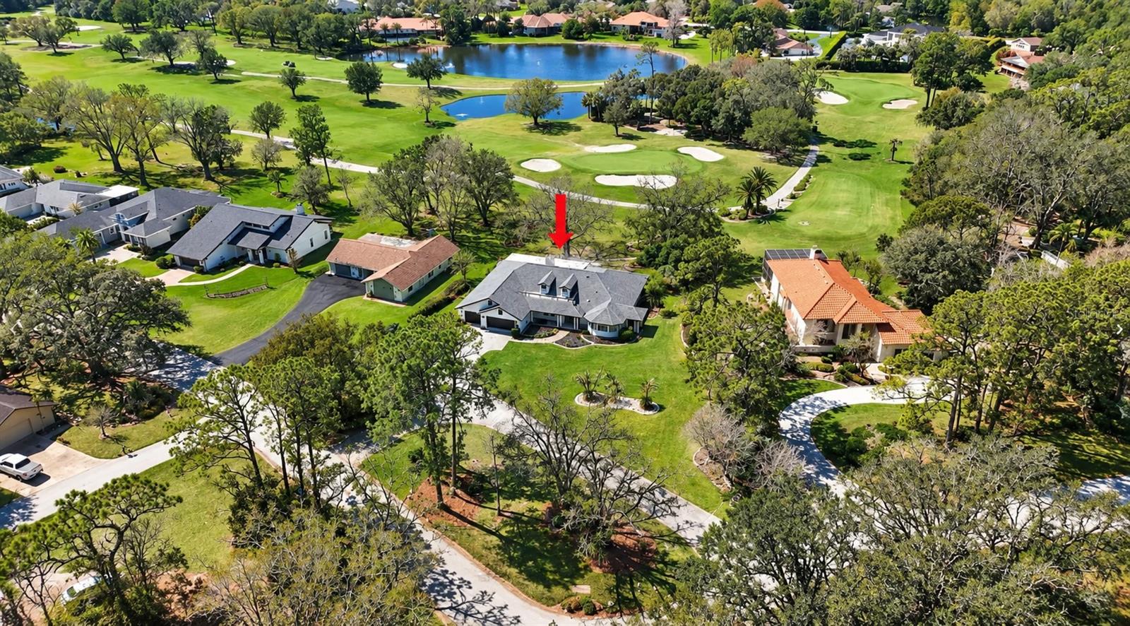 5331 Saddlebrook Way, Wesley Chapel, FL 33543 photo