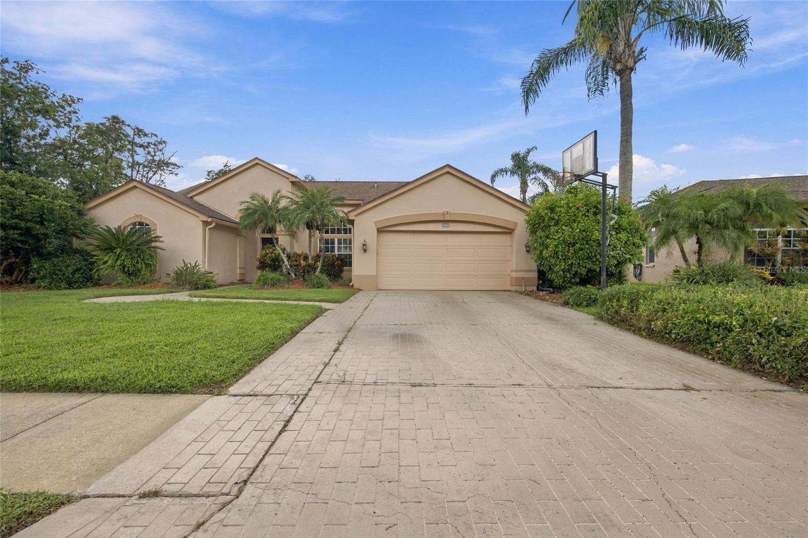 878 Centerwood Dr, Tarpon Springs, FL 34688 photo