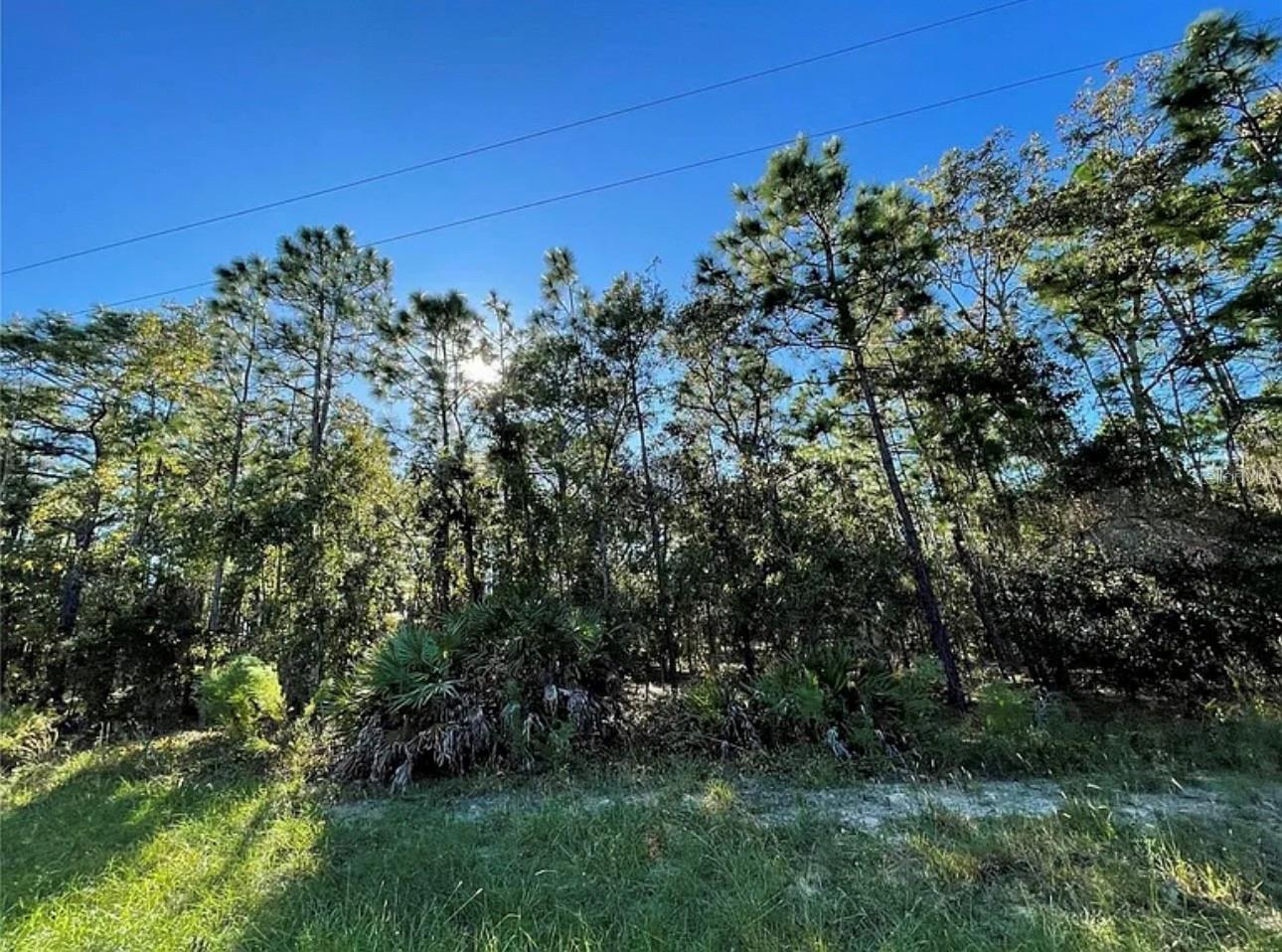 16 Mayten Ct, Homosassa, FL 34446 photo