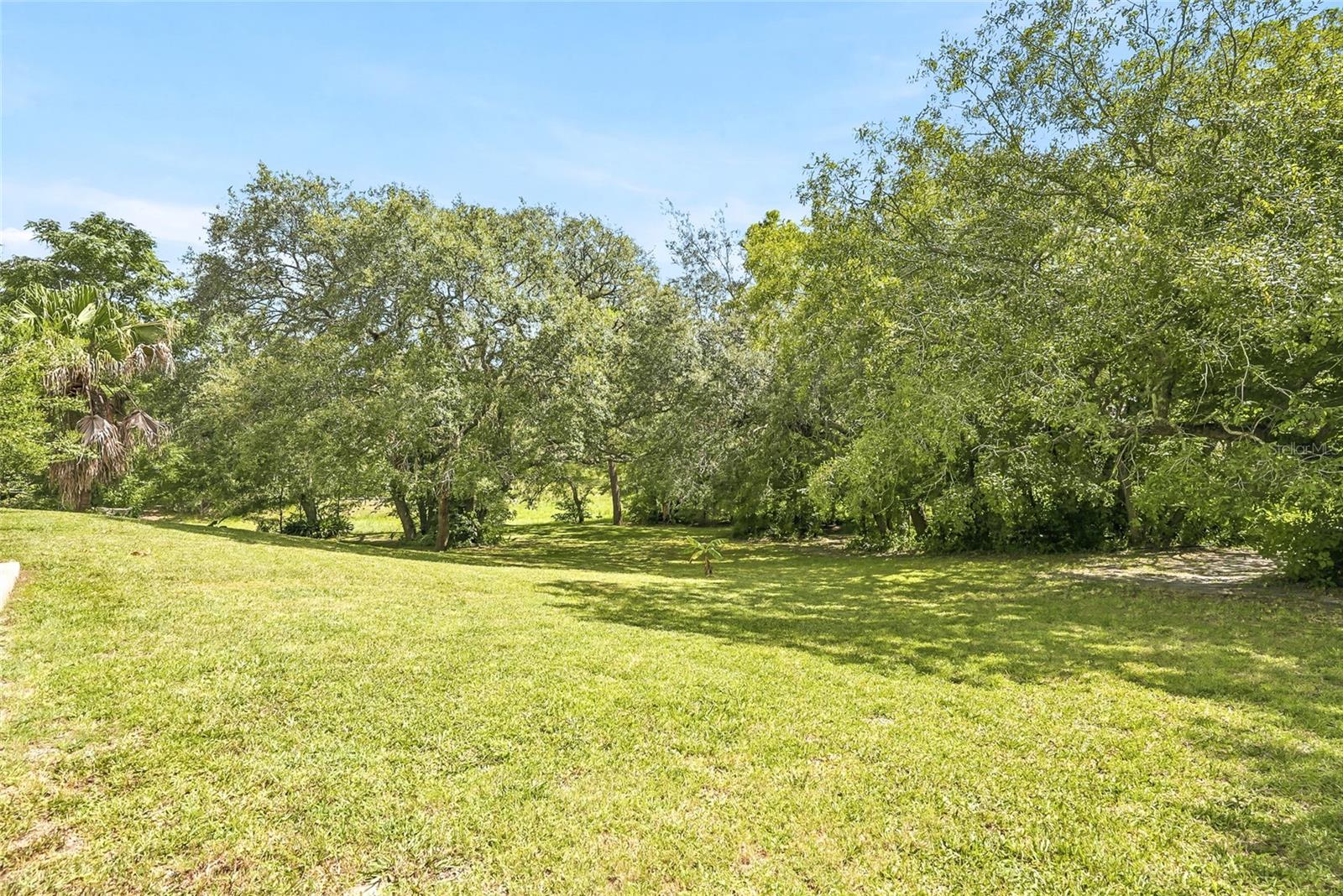 8206 Nightingale Rd, Weeki Wachee, FL 34613 photo