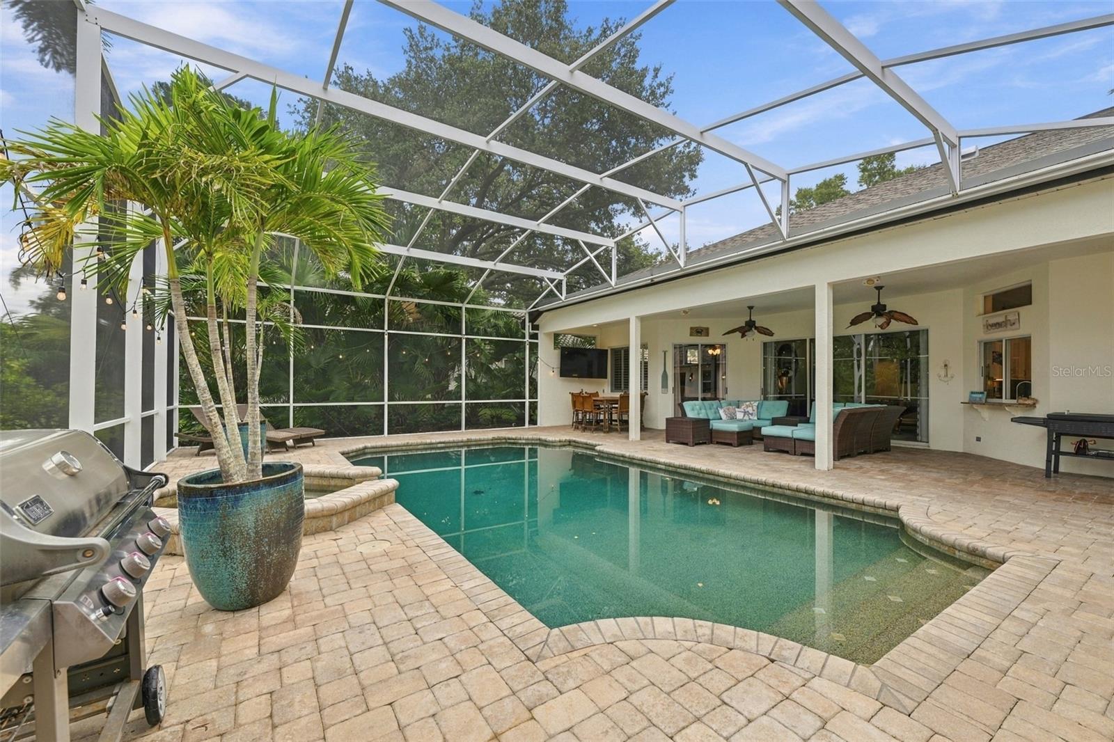 3921 Arlington Dr, Palm Harbor, FL 34685 photo